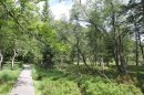 Col de Pourri Faing